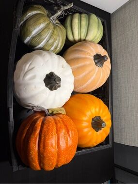 Assorted Decorative Pumpkins - Orange, White, Green